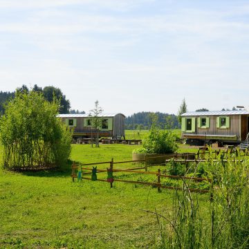 _DSC0826_gut